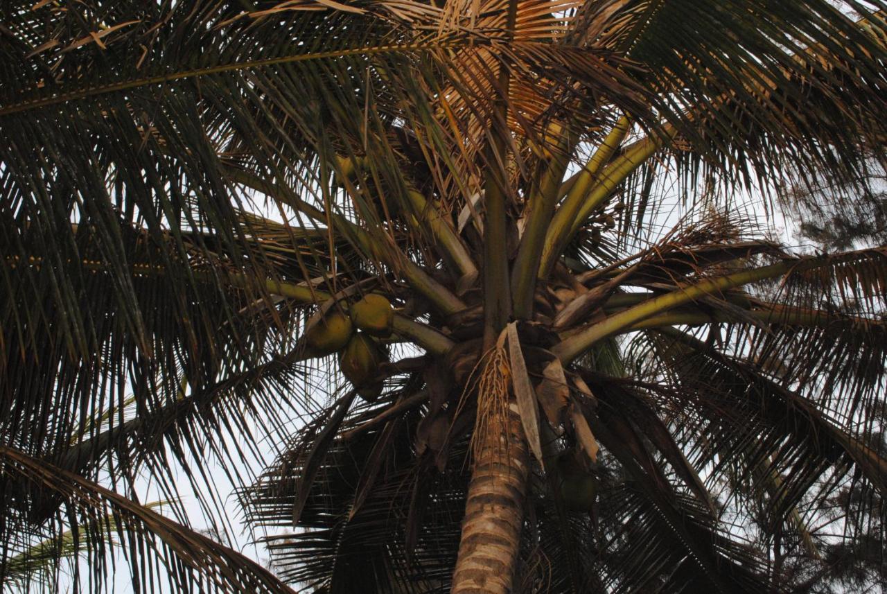 Rainbow Beach Resort Sanyang Exterior foto